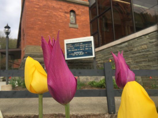 B.V.M. Queen of Peace Roman Catholic Parish Church